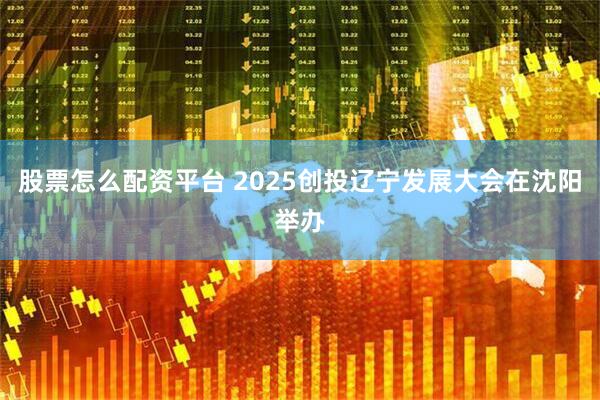 股票怎么配资平台 2025创投辽宁发展大会在沈阳举办