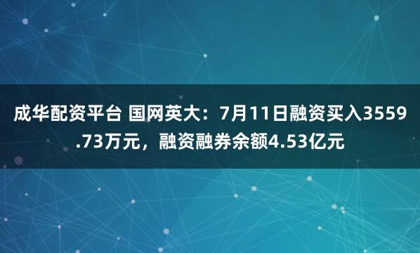 成华配资平台 国网英大:7月11日融资买入3559.73万元,融资融券余额4.53亿元