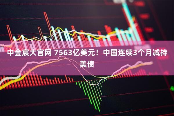 中金宸大官网 7563亿美元!中国连续3个月减持美债