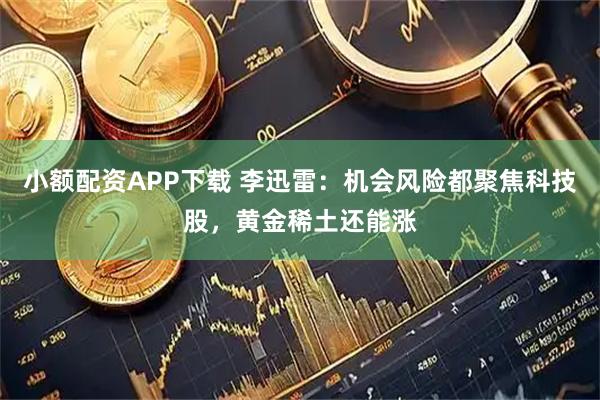 小额配资APP下载 李迅雷:机会风险都聚焦科技股,黄金稀土还能涨