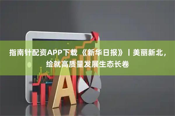 指南针配资APP下载 《新华日报》丨美丽新北,绘就高质量发展生态长卷